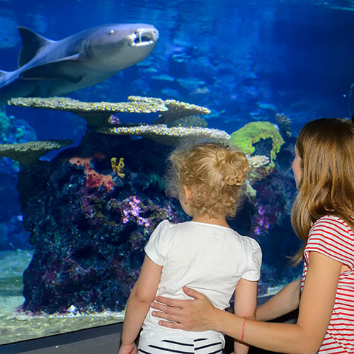 Acquario Berlino