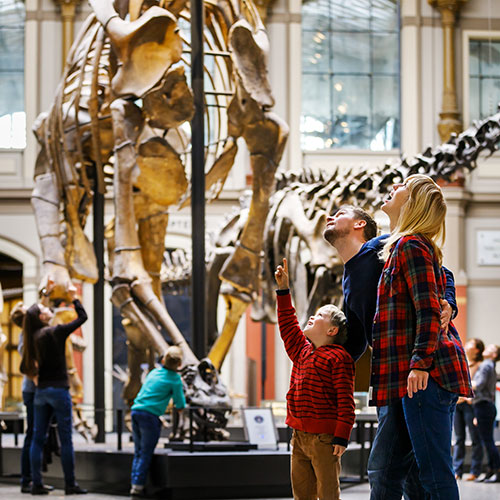 Naturkunde Museum Berlino