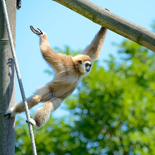 Tierpark Berlino