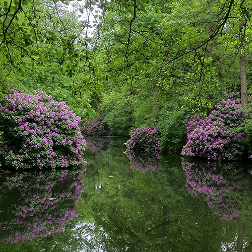 Tiergarten Berlino